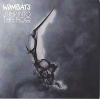 Jump Into The Fog