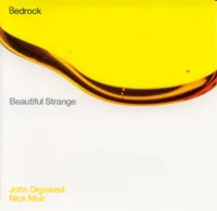 Beautiful Strange