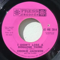 I Didn't Lose A Doggone Thing