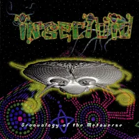Groovology Of The Metaverse