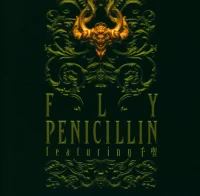 Fly