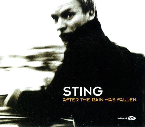 After The Rain Has Fallen
