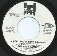Falling In Love Again
