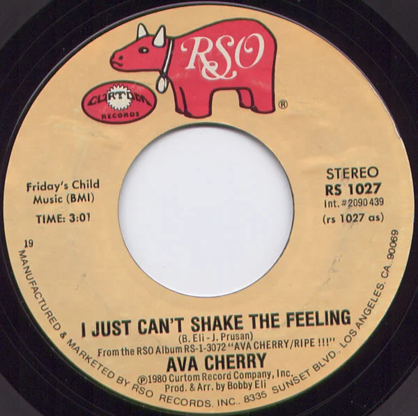 I Just Can't Shake The Feeling