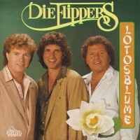 Lotosblume