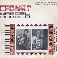 Muzică Populară Românească Interpretată La Acordeon