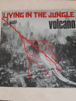Living In The Jungle