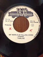 My World Is Falling Down