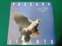 Pássaro Liberto