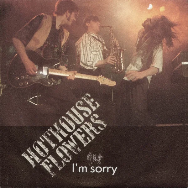 I'm Sorry