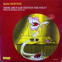 There Are False Teeth In The Toilet (Where The Redback Used To Be)