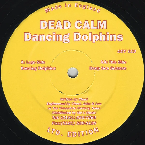 Dancing Dolphins