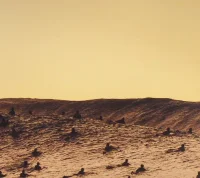 Hallucinated Surf