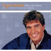 Wie Ein Stern (Die 40 Schönsten Songs Zum Jubiläum)