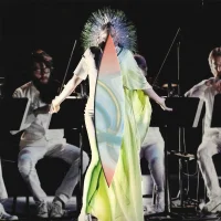 Vulnicura Strings