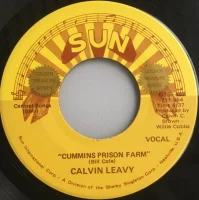 Cummins Prison Farm / Brought You To The City