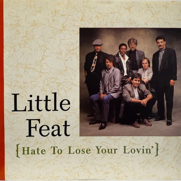 Hate To Lose Your Lovin'