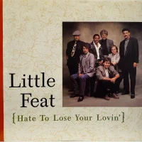 Hate To Lose Your Lovin'