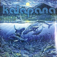 Blue Album