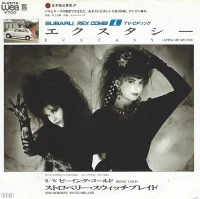 エクスタシー = Ecstasy (Apple Of My Eye)