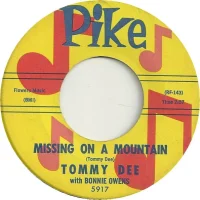 Missing On A Mountain / Look Homeward Dear Angel