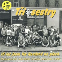 15 Let Jsem Na Kovárně Na Plech.