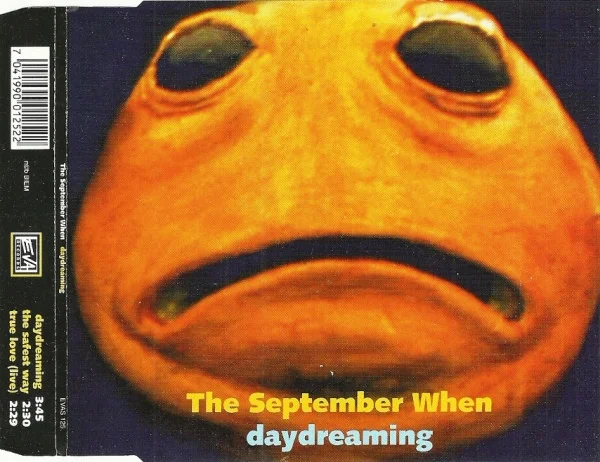 Daydreaming