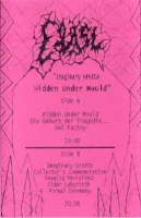 Imaginary Grotto Hidden Under Mould