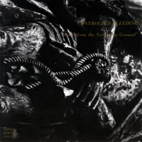 Music From The Scourging Ground