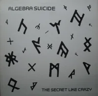 The Secret Like Crazy