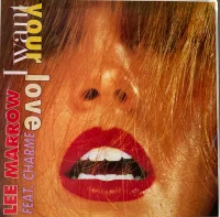 I Want Your Love