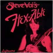 Flex-Able Leftovers
