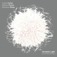Seraphic Light