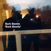 Bark Beetle