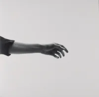 Limbs