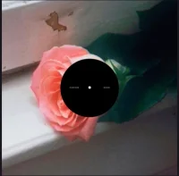 Blooom