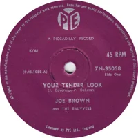 Your Tender Look