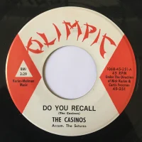Do You Recall / The Swim