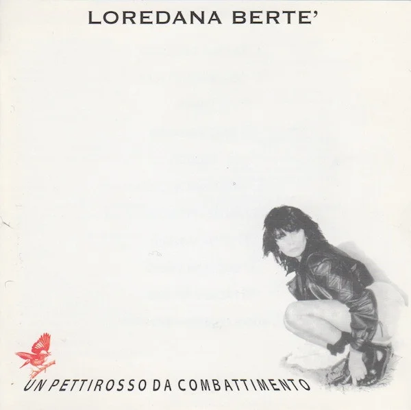 Un Pettirosso Da Combattimento