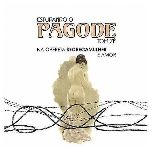 Estudando O Pagode