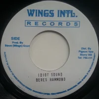Idiot Sound / Lean Back (Remix)