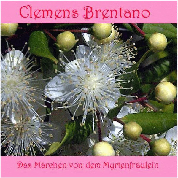 Das Märchen Von Dem Myrtenfräulein