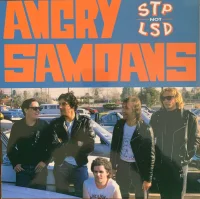 STP Not LSD