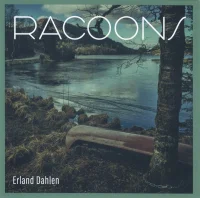Racoons