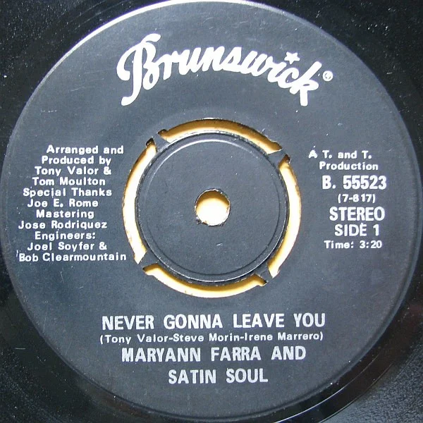 Never Gonna Leave You