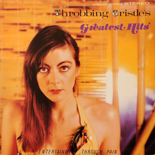 Throbbing Gristle's Greatest Hits (Entertainment Through Pain)