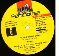 I Want Your Love