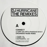 Connect (The Remixes)