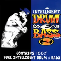 Intelligent Drum & Bass Volume Two