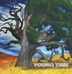 Young Tree